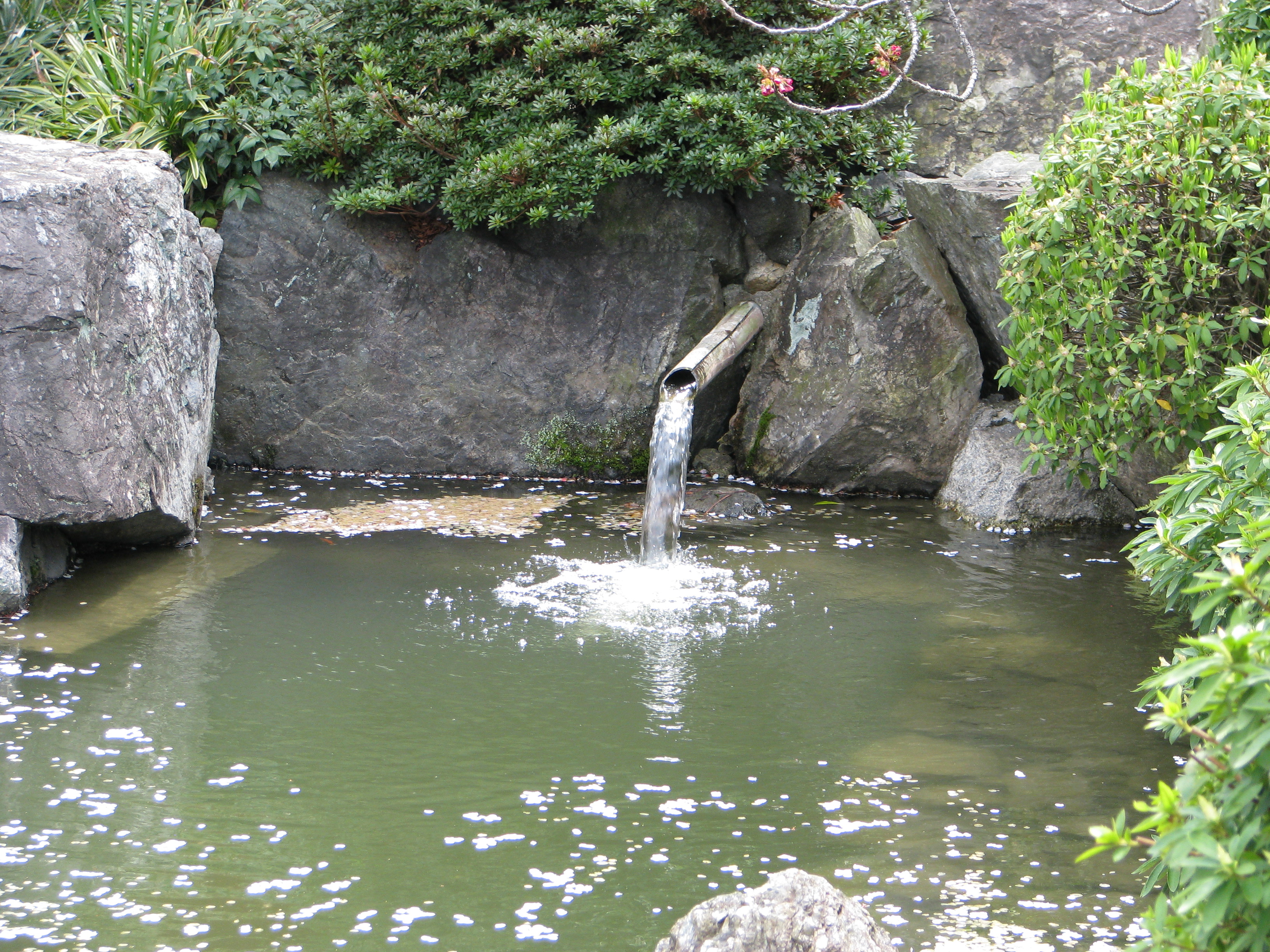 Meditation and Daily Reiki Self Practice is good for you.