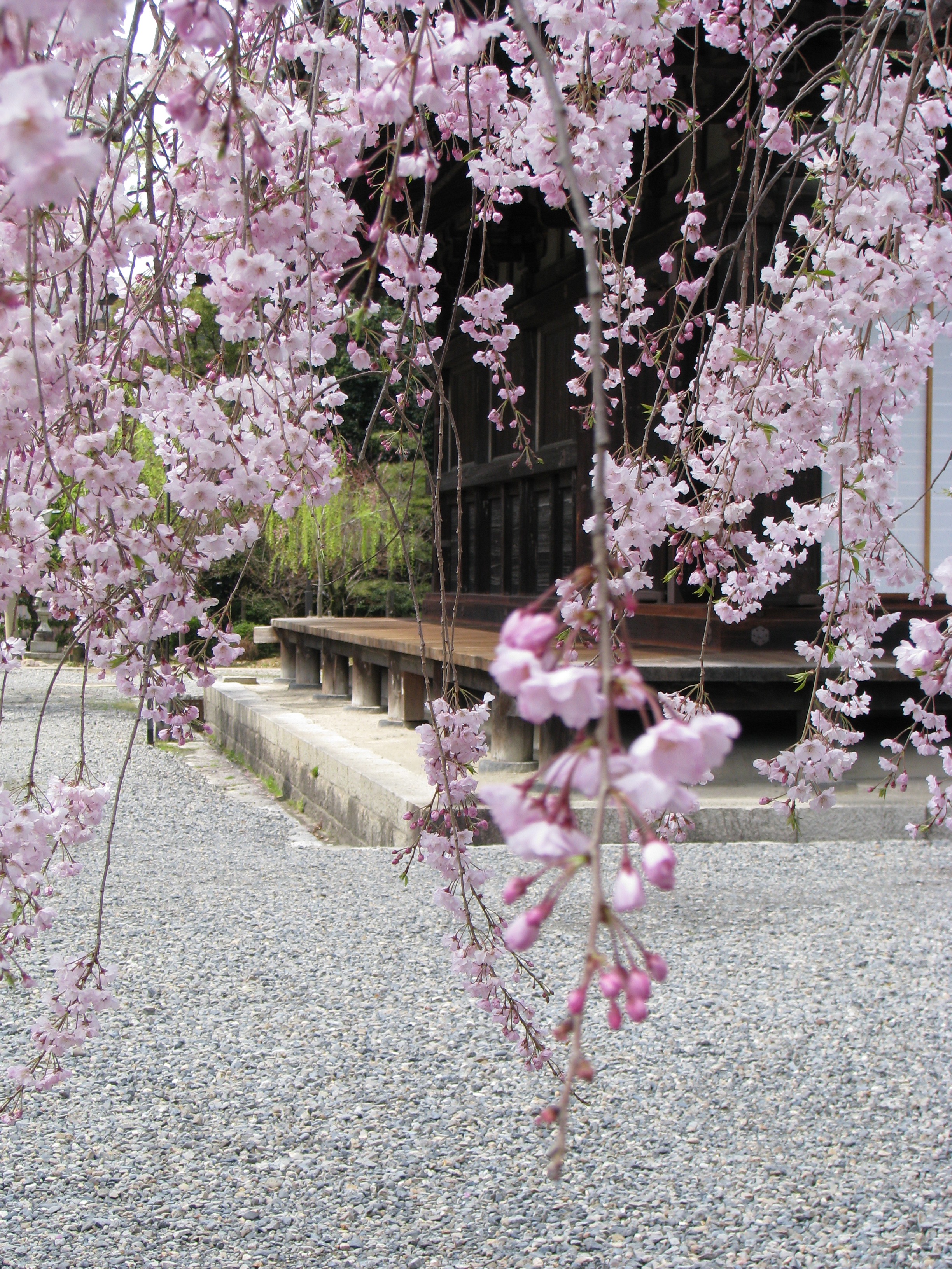 Okuden course - Jikiden Reiki Healing